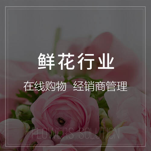 定制化ERP系统在肇庆零售业的成功案例