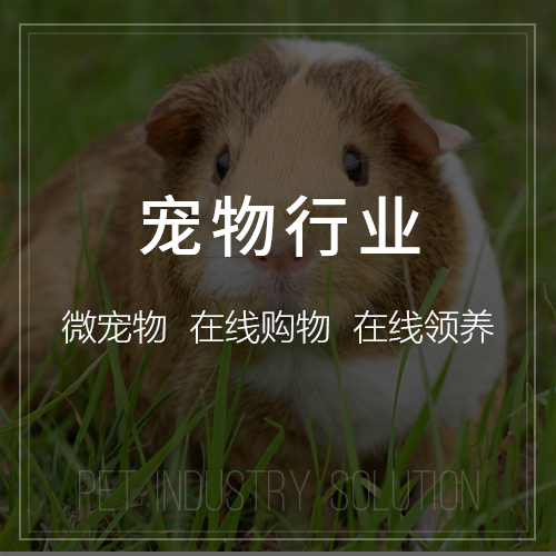 肇庆网站建设如何助力企业品牌升级
